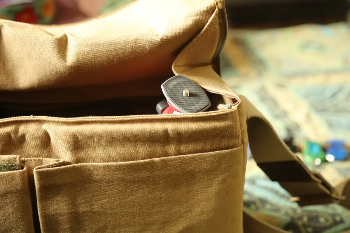 tas cc0 by pxherecom