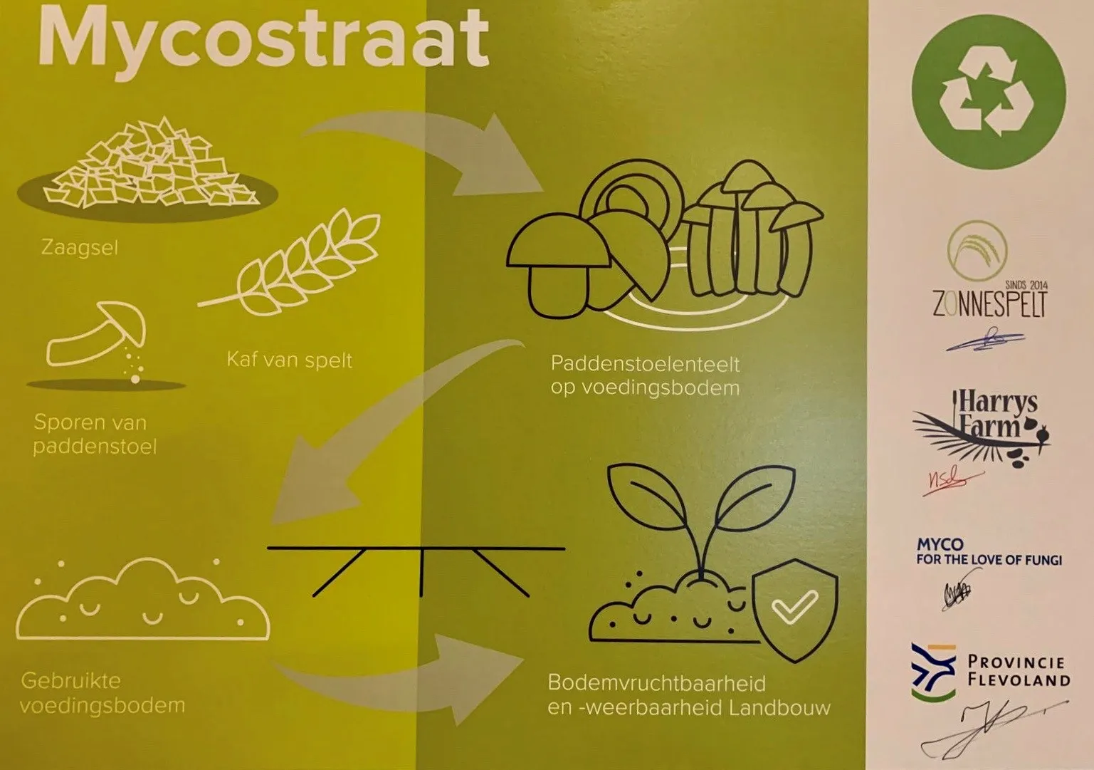 tekenbord mycostraat