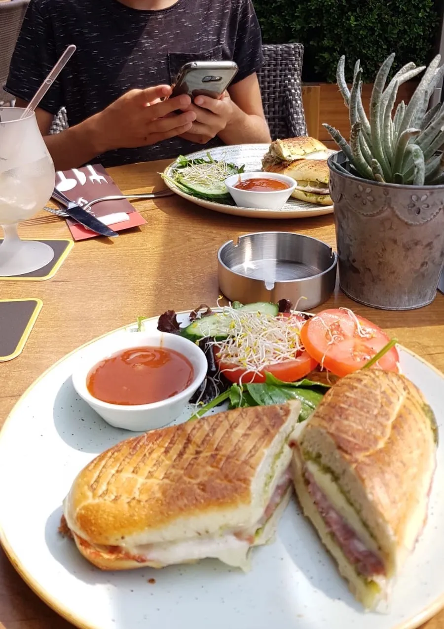 terras 94cfa2d5 ddc0 47e5 a15c fa058d83f766 kopie