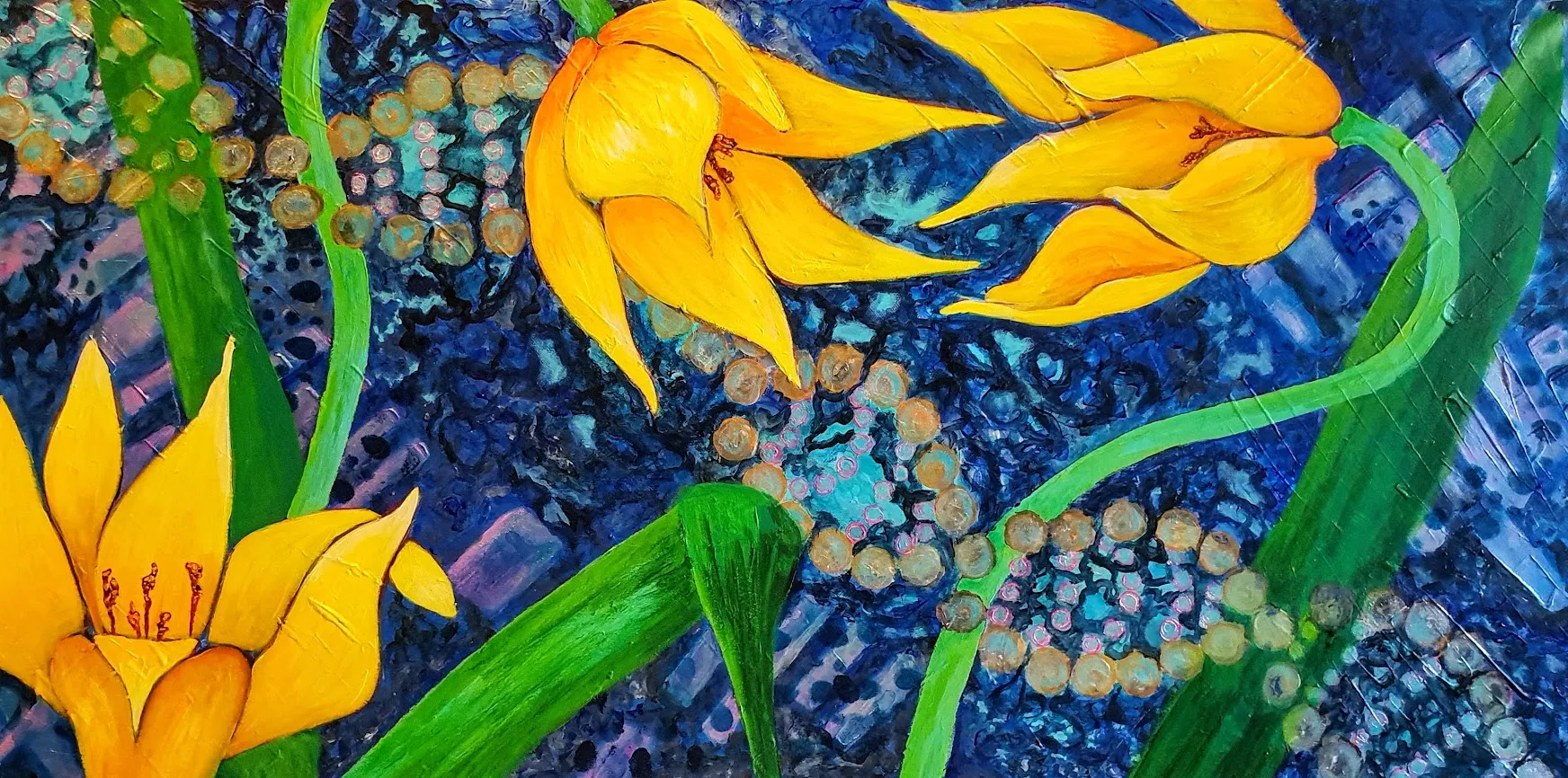 tulipa sylvestris mirriam bouwmeester