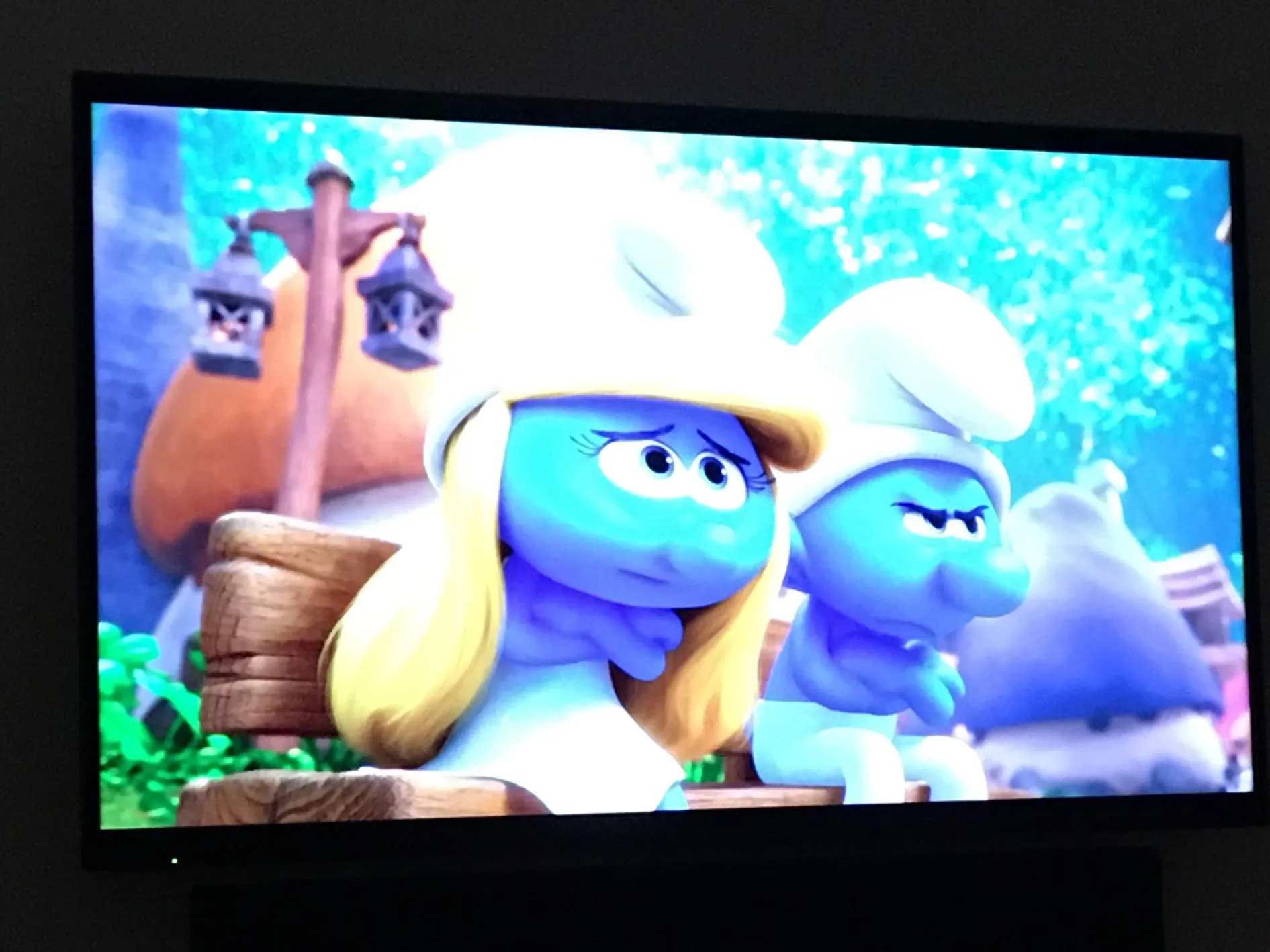 tv img 3159