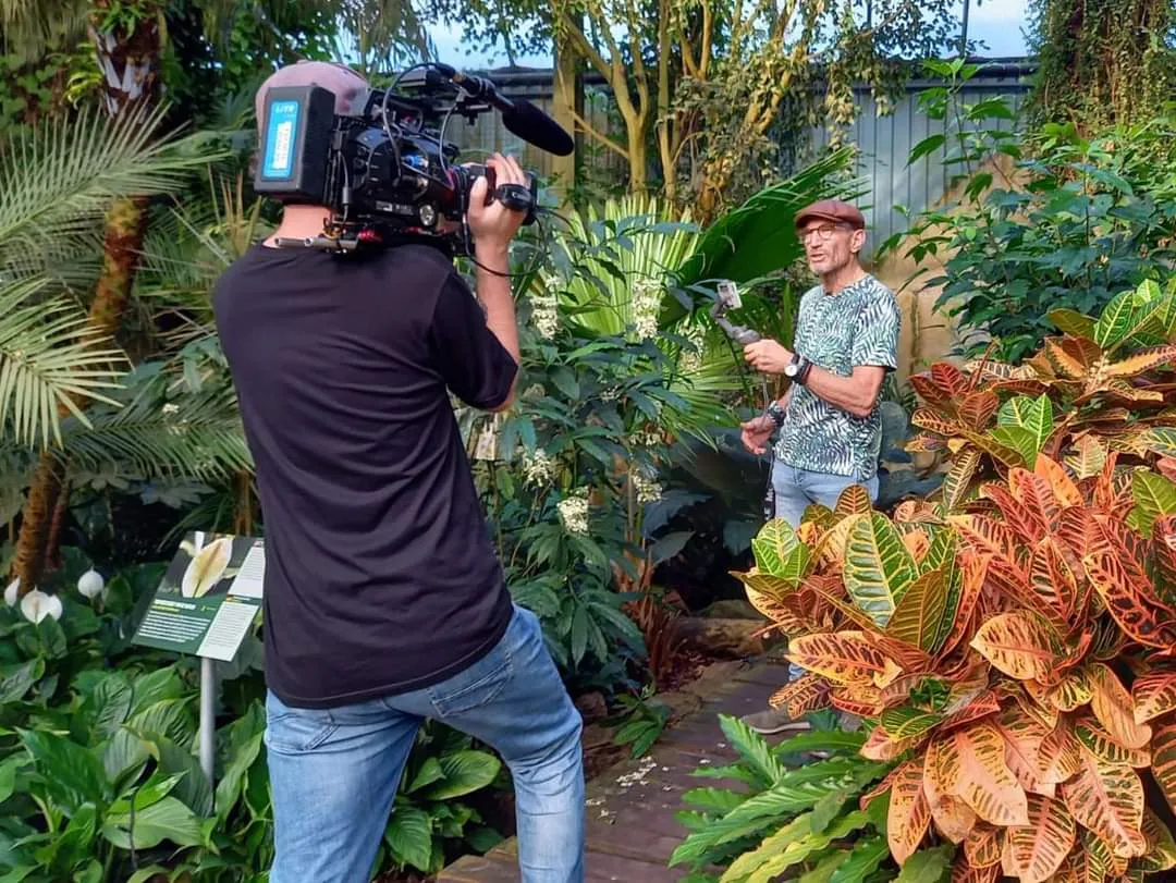 twitter at emmeloordstad