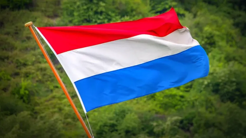 vlag