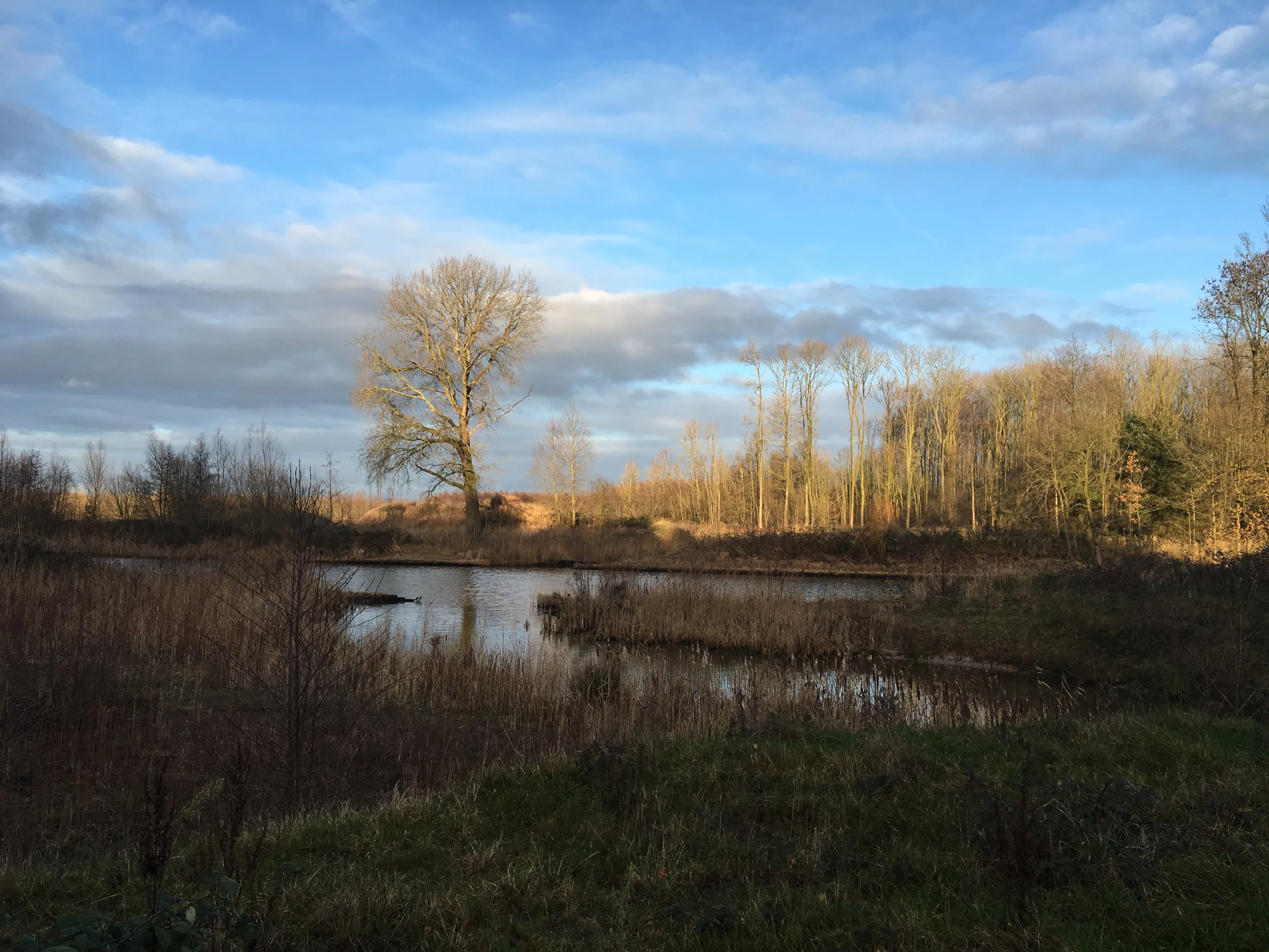 voorsterbos 2019 img 1723