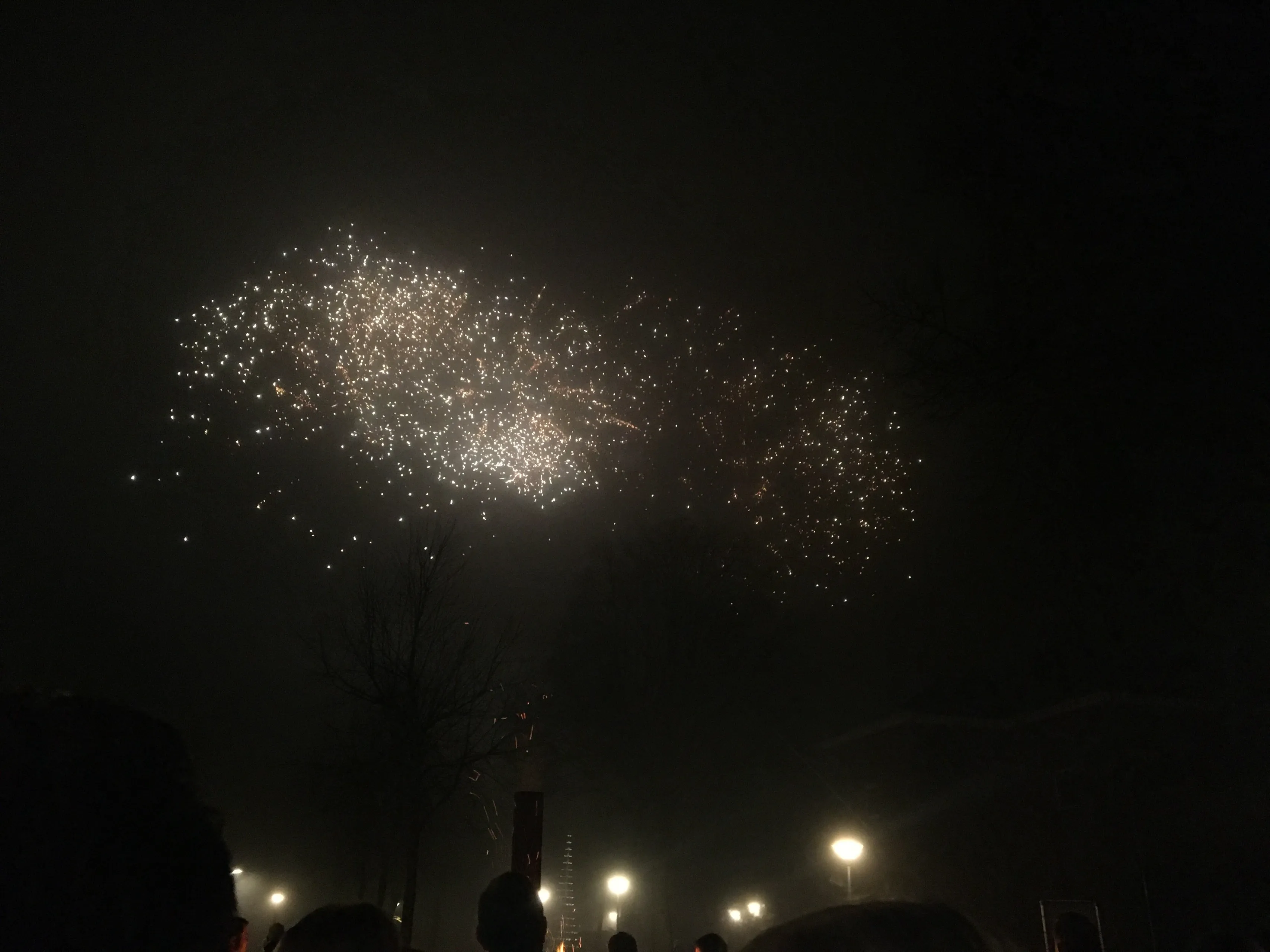 vuurwerk kraggenburg 2020 img 8667