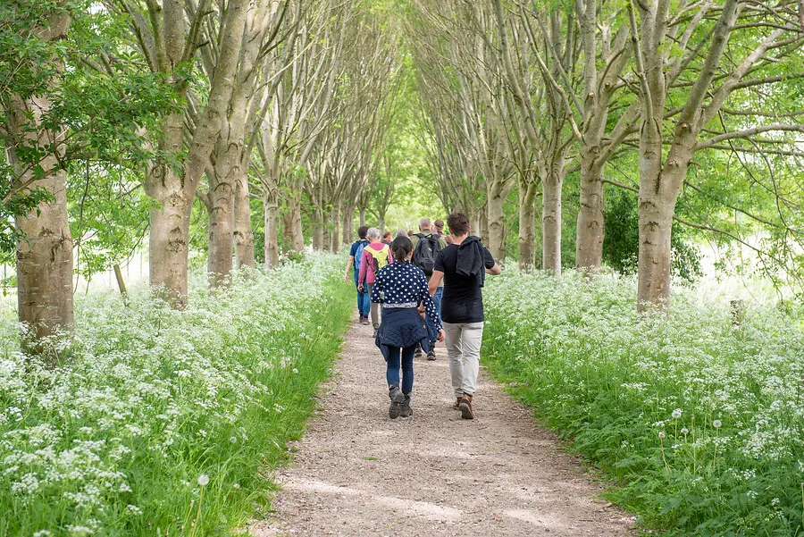 wandelpad met fluitekruid fotograaf marjolein den hartog