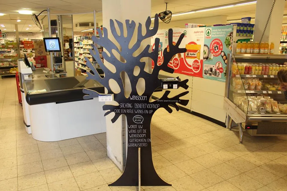 wensboom 53255389 246644656242968 5729768294517309440 n