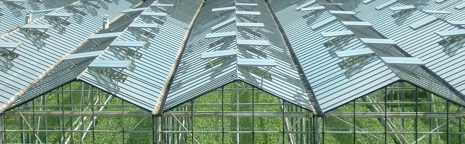 westland kassen cc by commonswikimedia