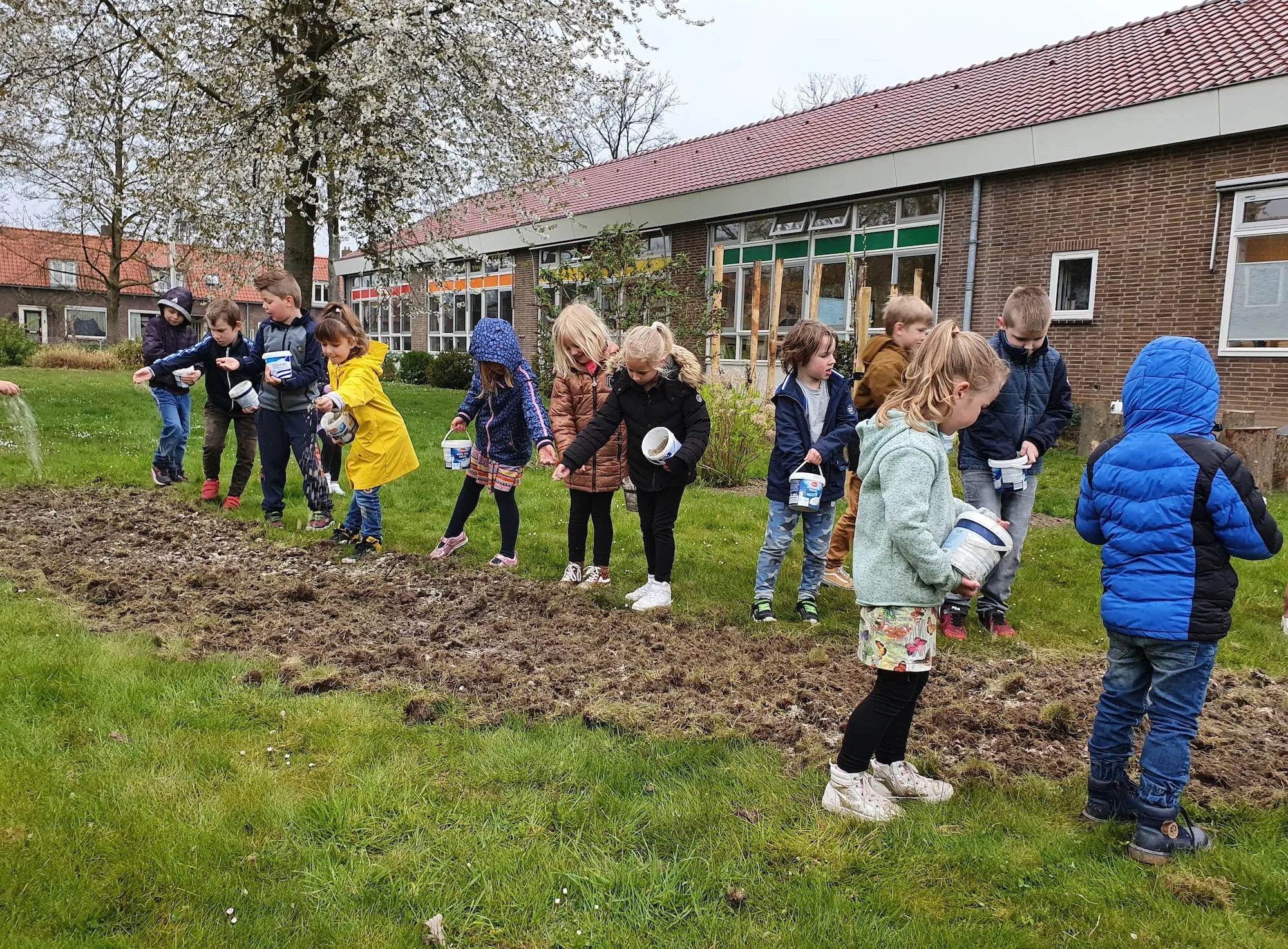 zaaien bloemenstrook