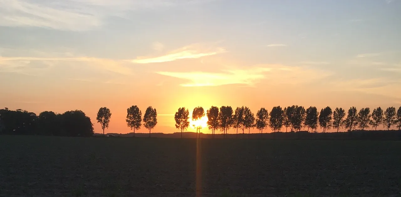 zonsondergang polder