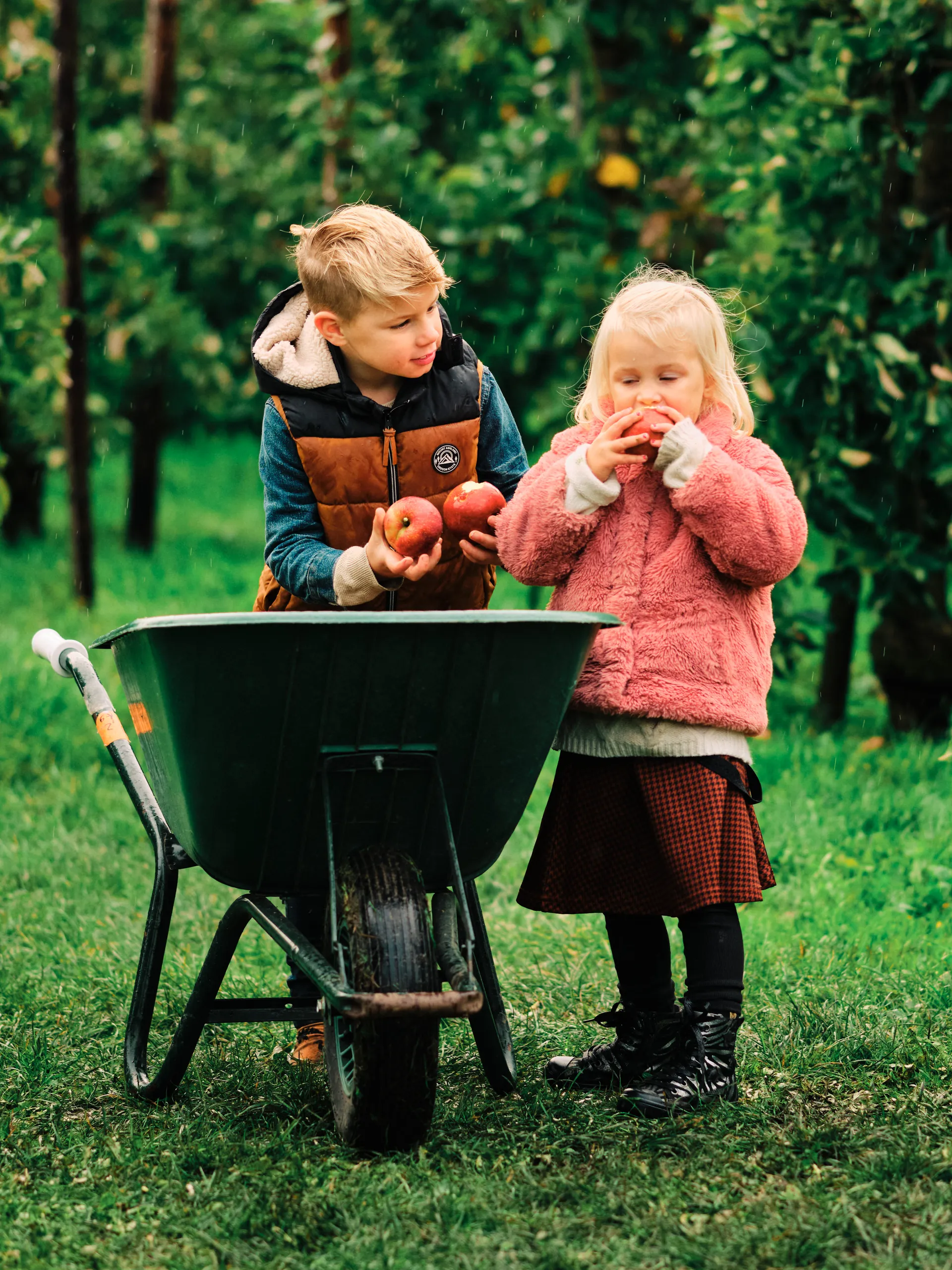 24 10 23 herfstshoot no polder schokker fotografie 1604 4500px
