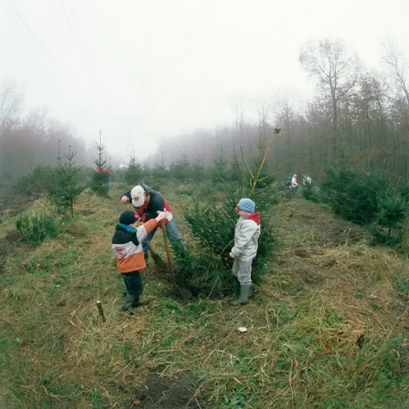 image001 13