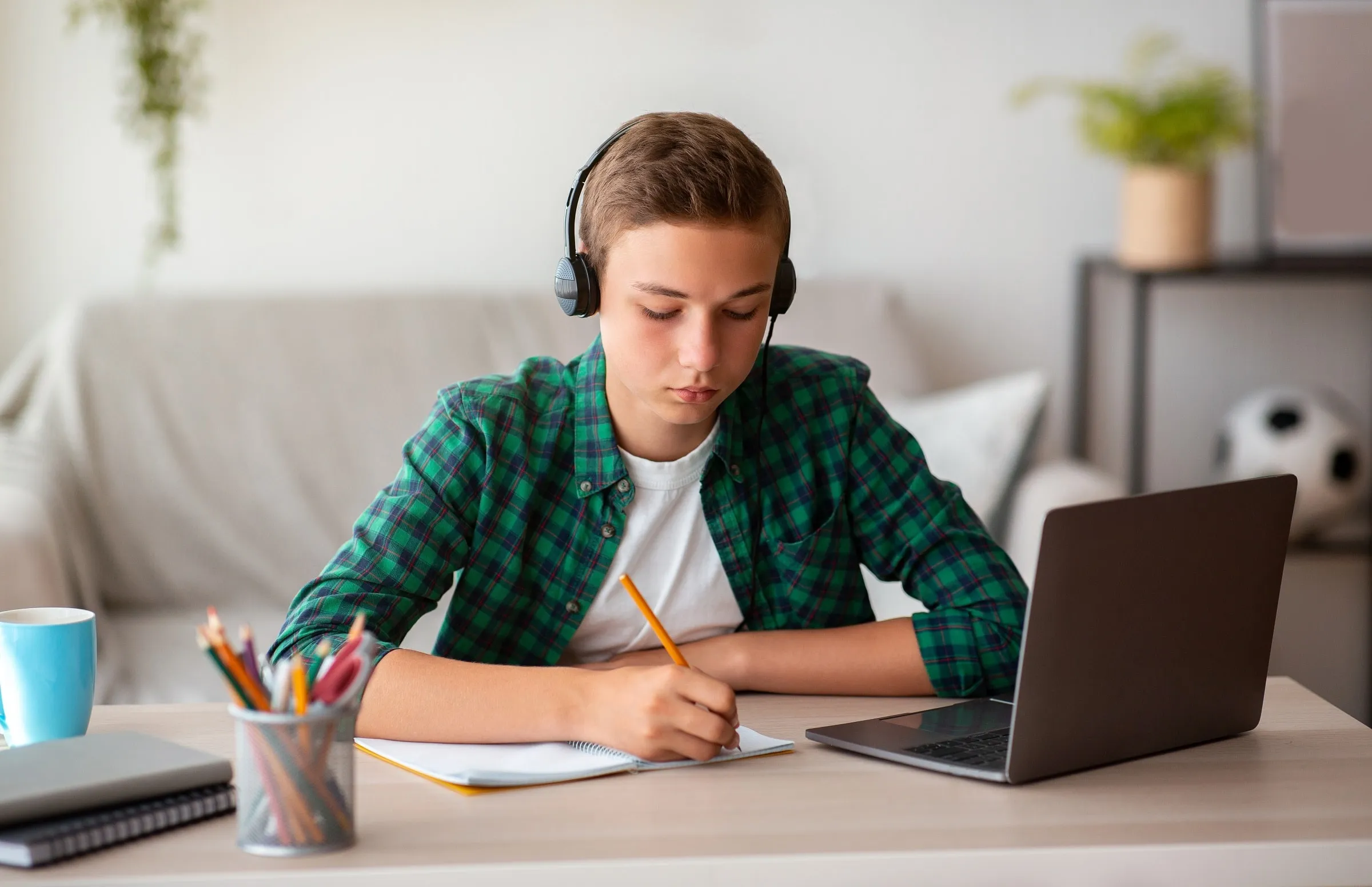 online onderwijs ozl2400pxls