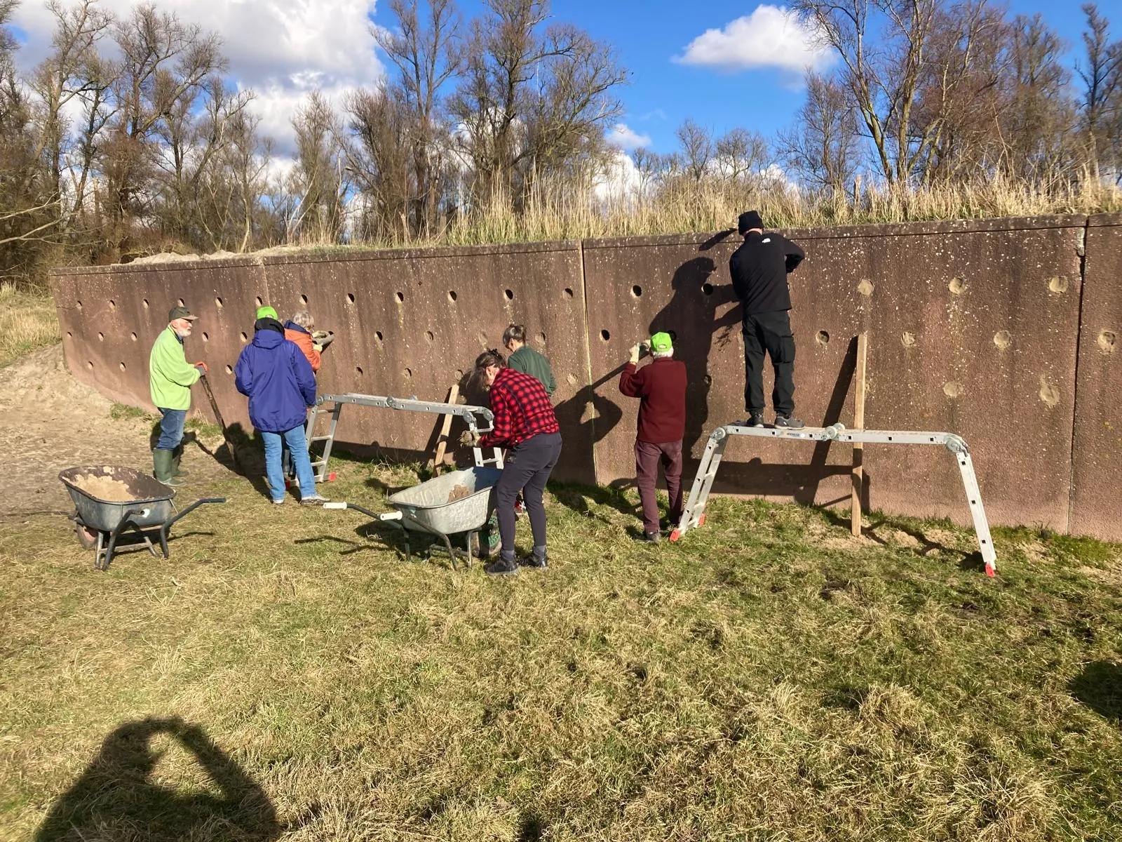 20250313 oeverzwaluw 01