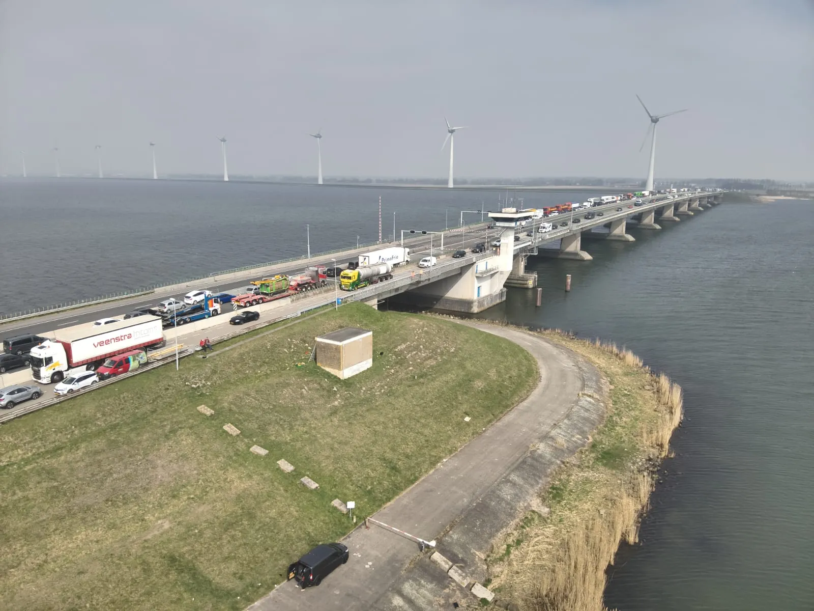 20250326 vleermuisplaten03