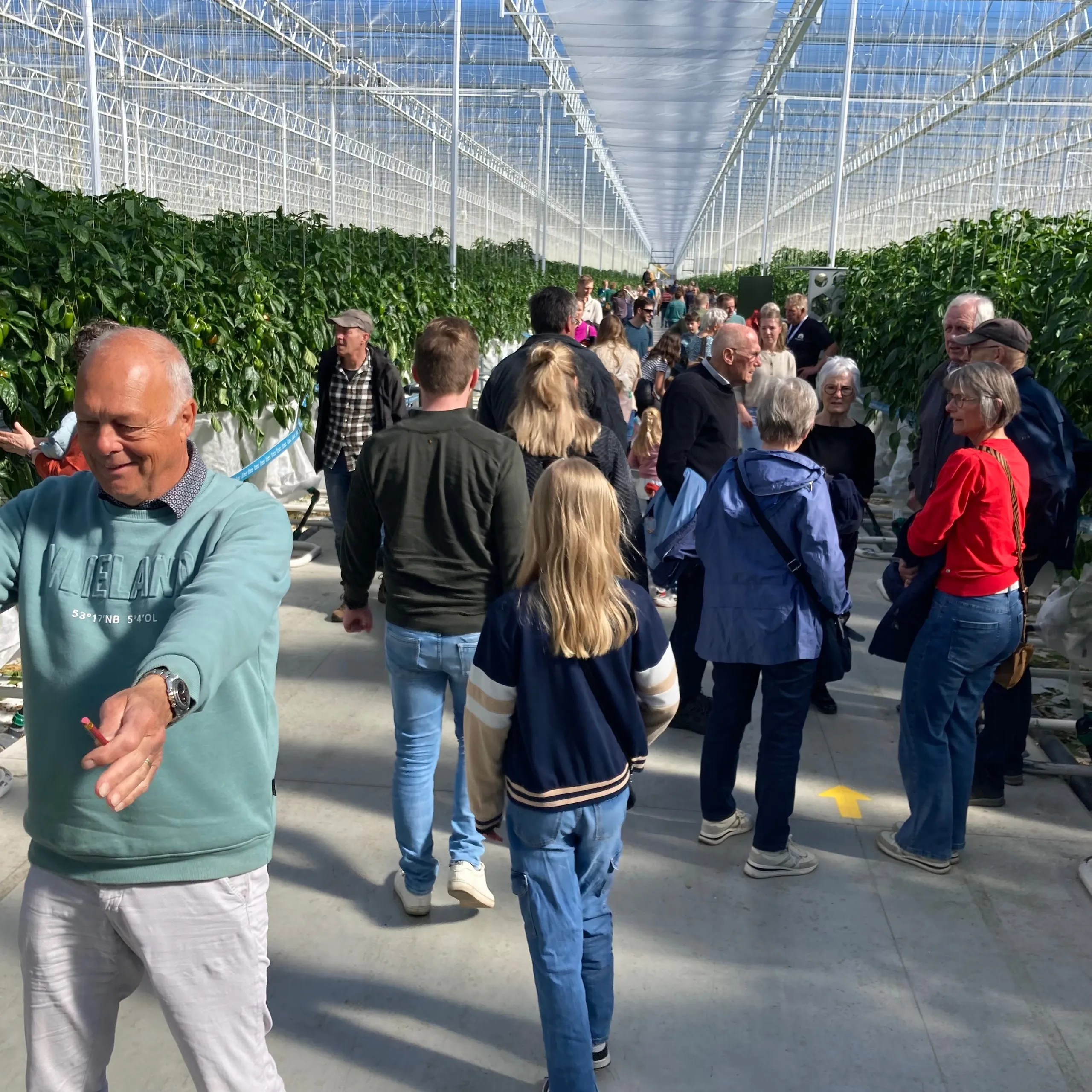 kik 2025 hoogweg img 0590