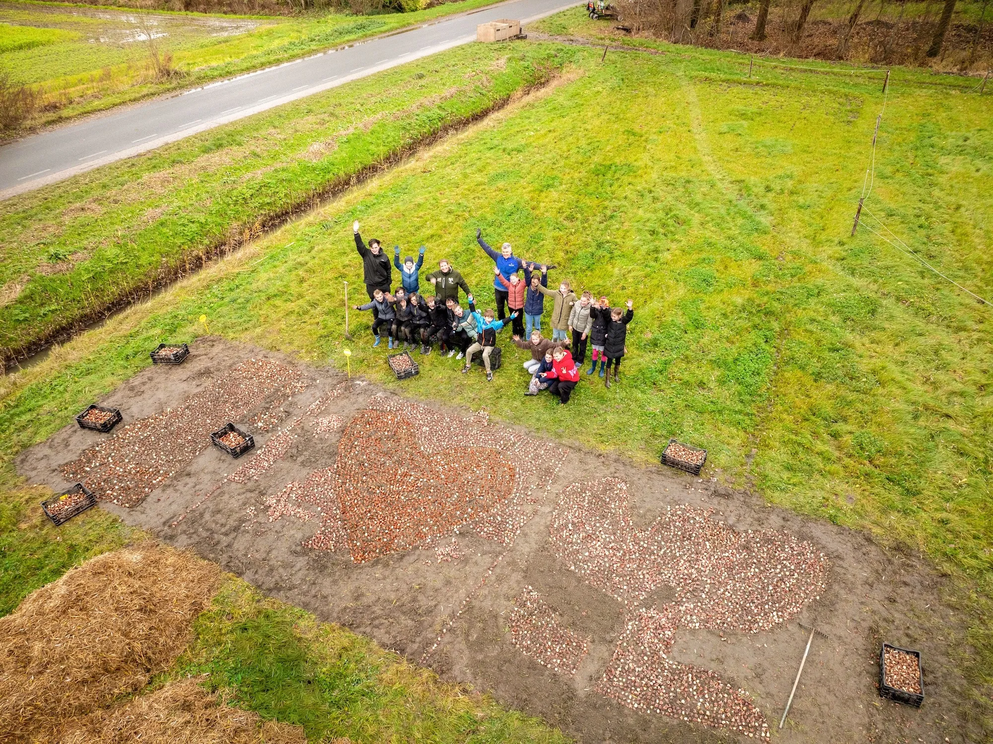 Bollen_de_grond_in_Tulpenfestival_2026-©David_Verolme