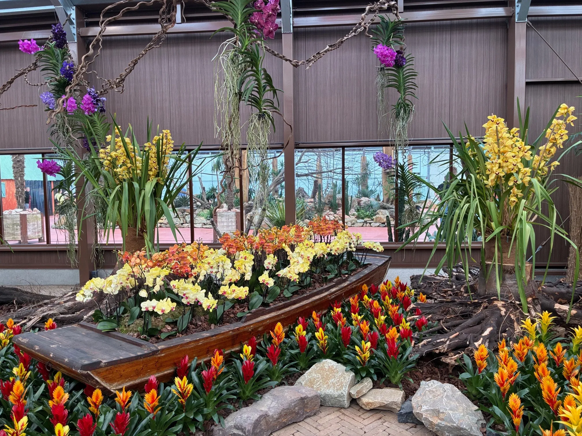 Pantropica River of Dreams IMG_4636