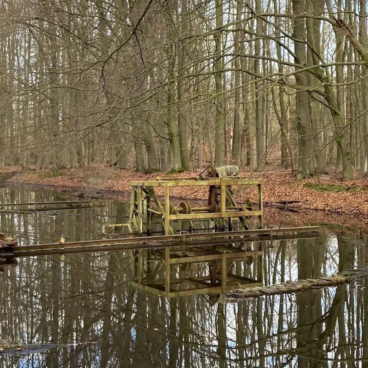 Waterloopbos IMG_4591