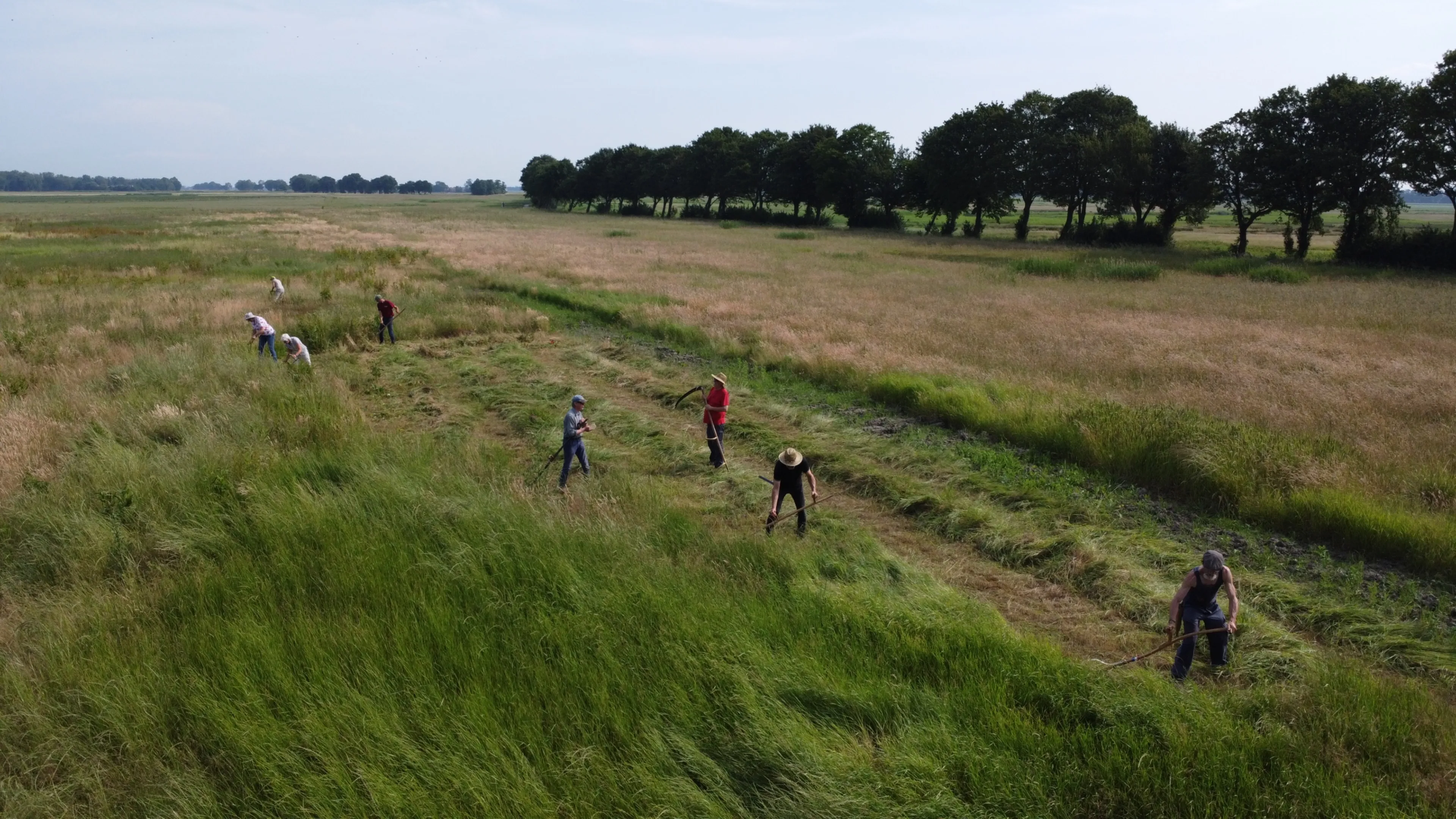20260515_Landelijke maaidag_luchtfoto