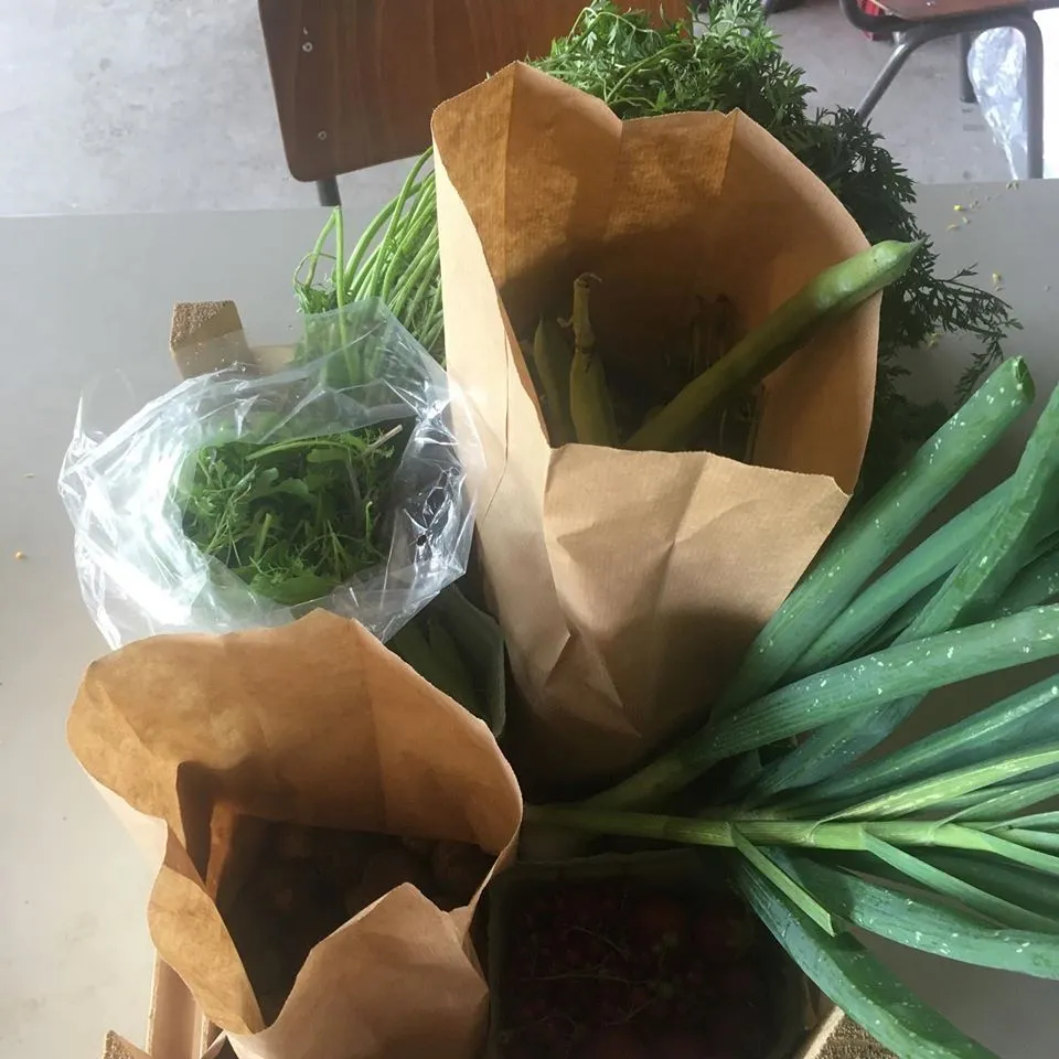 104736082 3093105637450327 4563687356379525742 o