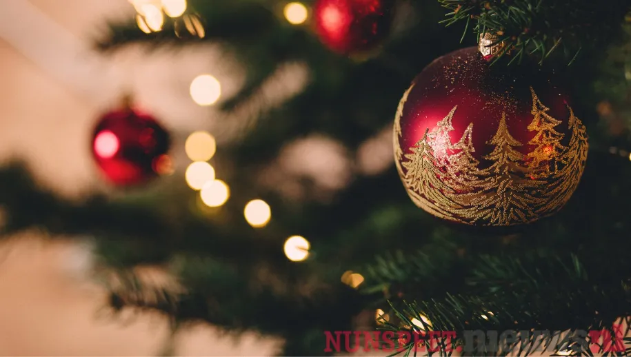 45 25 1125 tegels eruit en egaliseren 01875 e 90000 e 16875 45 25 1125 graszoden erin 1125 e 750 e 8438 2 75 15 kunstgras eruit 15 e 200 e 3000 2 75 15 graszoden erin 15 e 750 e 11250 45 25 1125 5