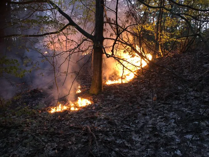 bosbrand 26 april nunspeet elspeterweg