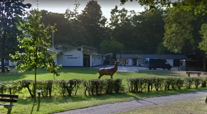 dorpshuis horsterhoek zonnepanelenveld google street view