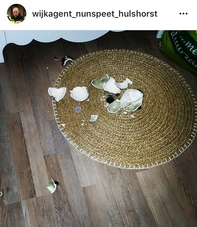 instagram wijkagent nunspeet hulshorst inbraak januari