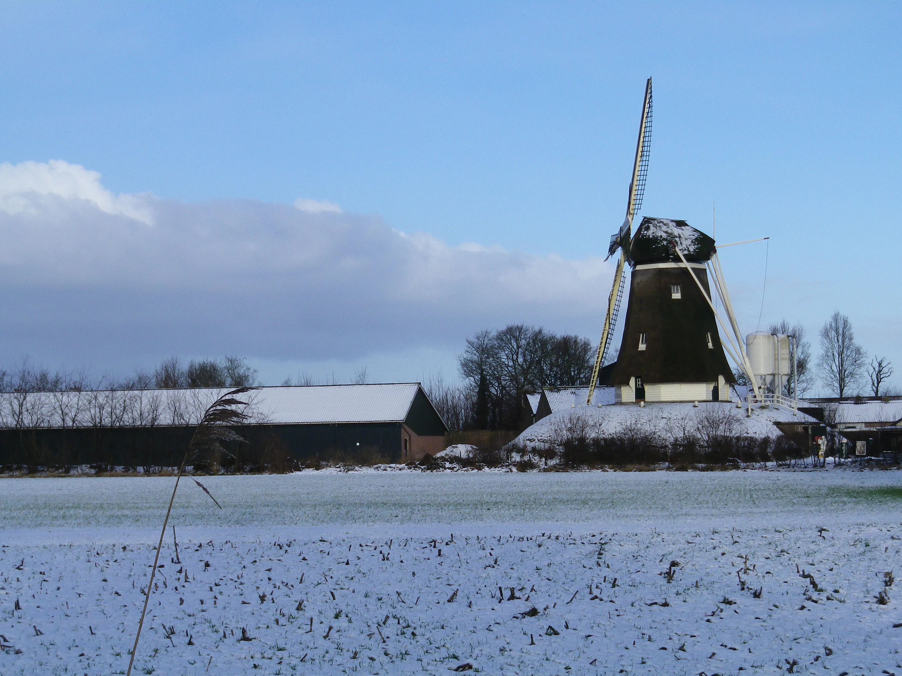 midwintersnertwandeltocht 2018 duif