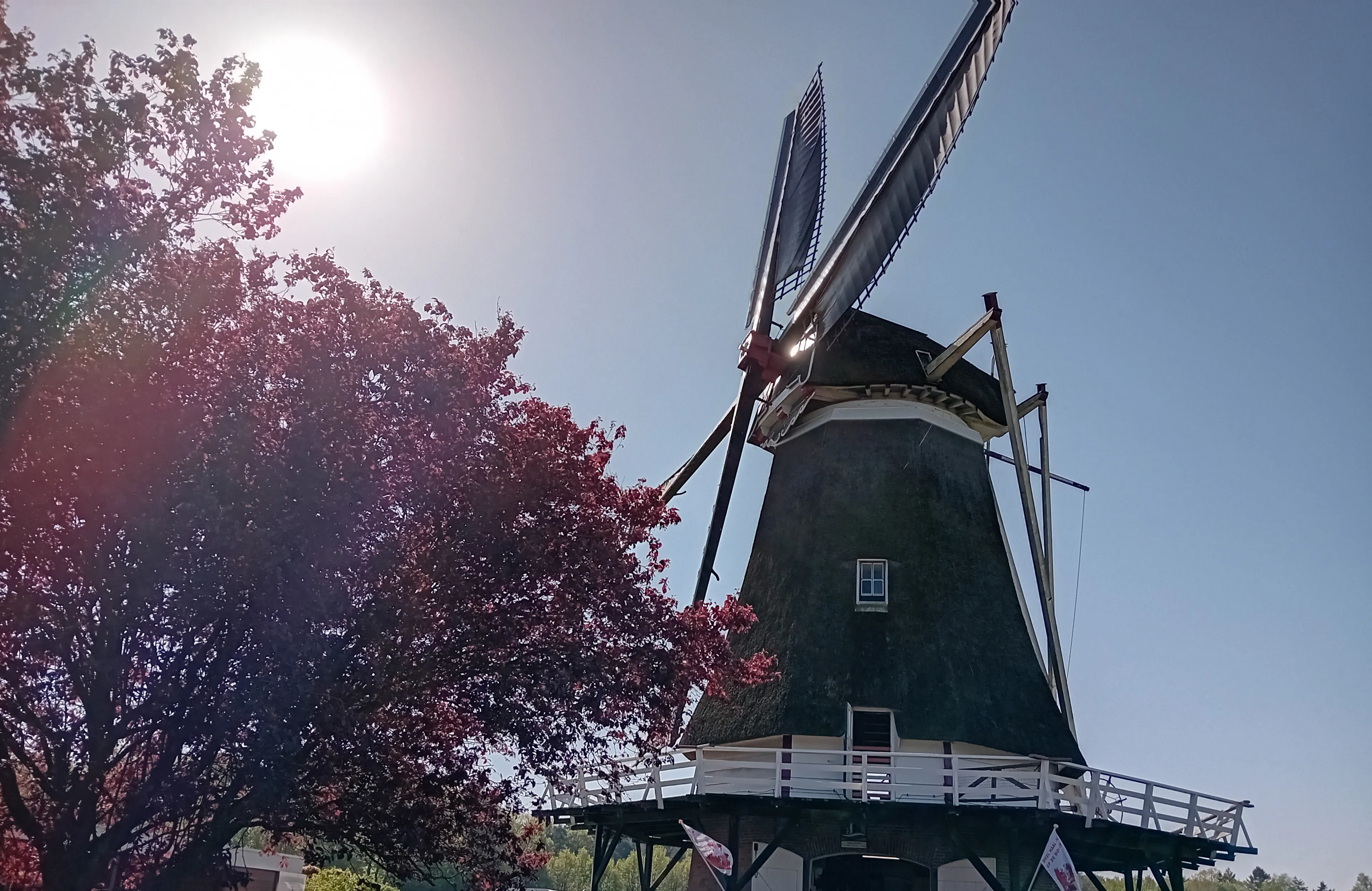 molen
