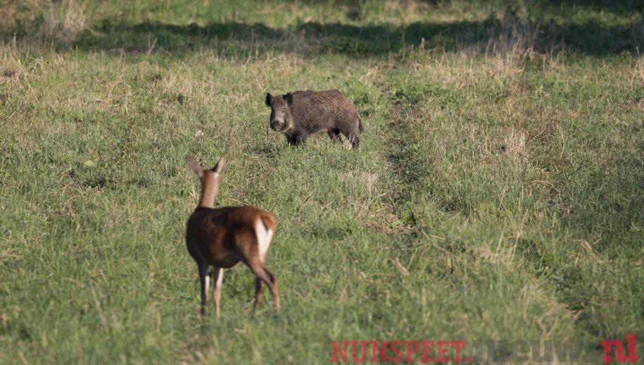 ontwerp zonder titel 1