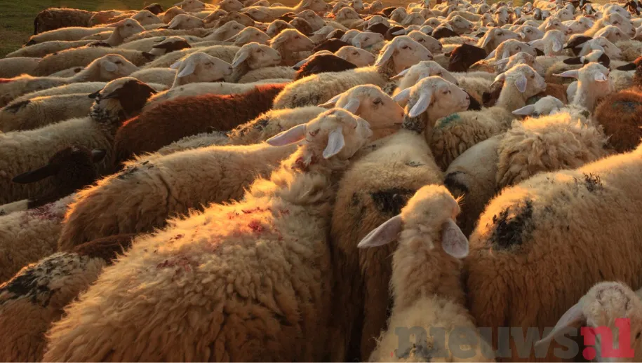 ontwerp zonder titel 10