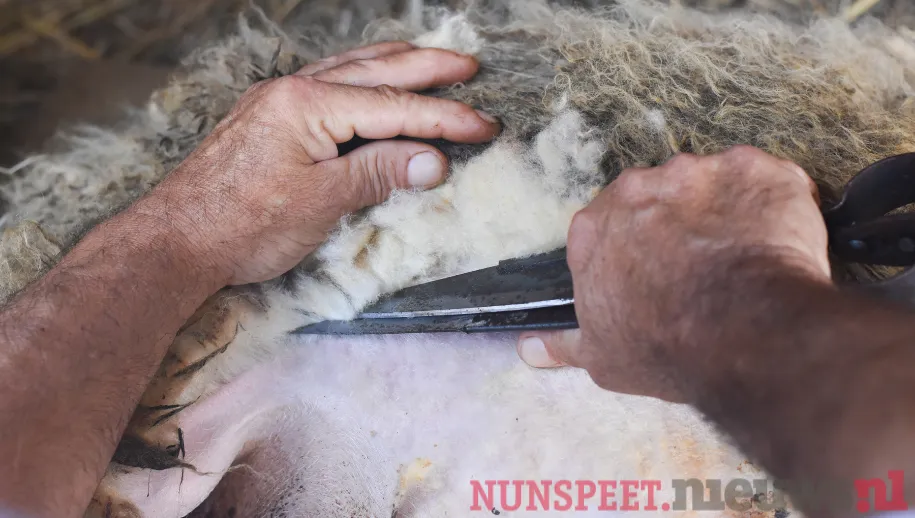 ontwerp zonder titel 15