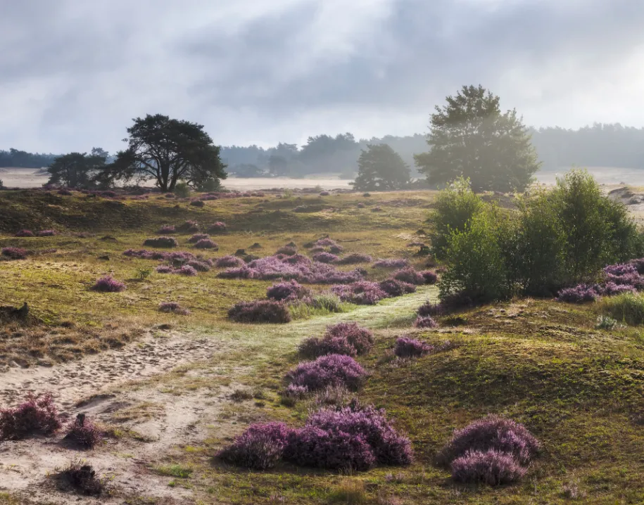 ontwerp zonder titel 2021 04 24t063226637