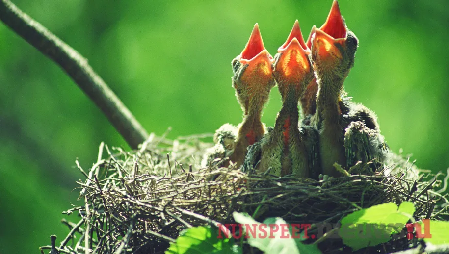 ontwerp zonder titel 2021 06 03t132038727