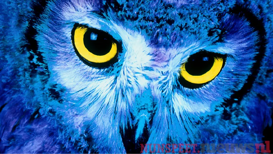 ontwerp zonder titel 2021 09 27t121553037