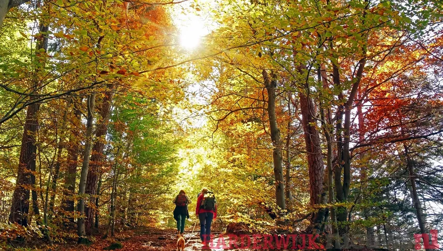 ontwerp zonder titel 2021 09 28t134935801