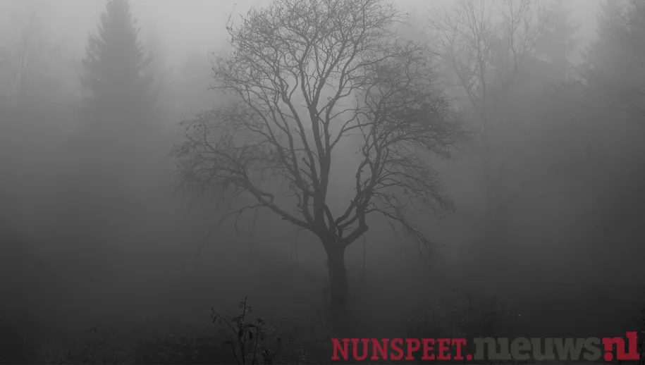 ontwerp zonder titel 2021 10 08t062334513