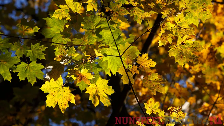 ontwerp zonder titel 2021 10 21t072043655