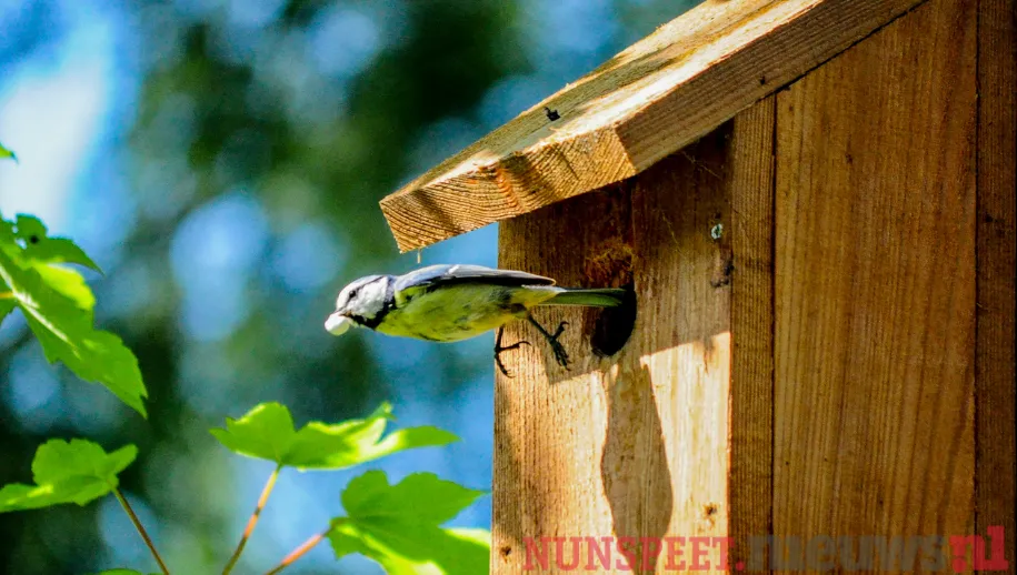 ontwerp zonder titel 2022 02 10t062243740