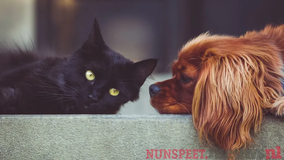 ontwerp zonder titel 21