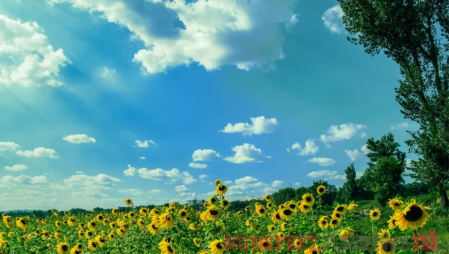 ontwerp zonder titel 23 1