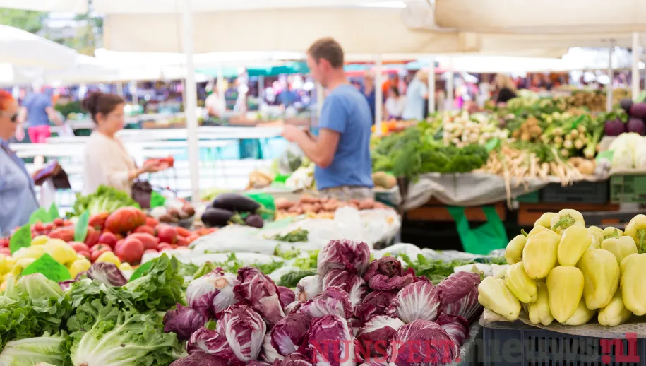 ontwerp zonder titel 27