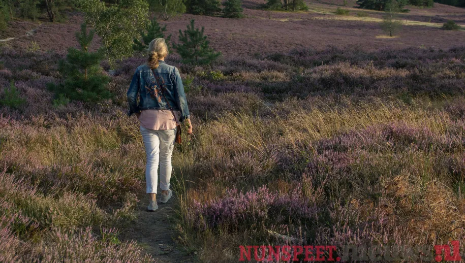 ontwerp zonder titel 28