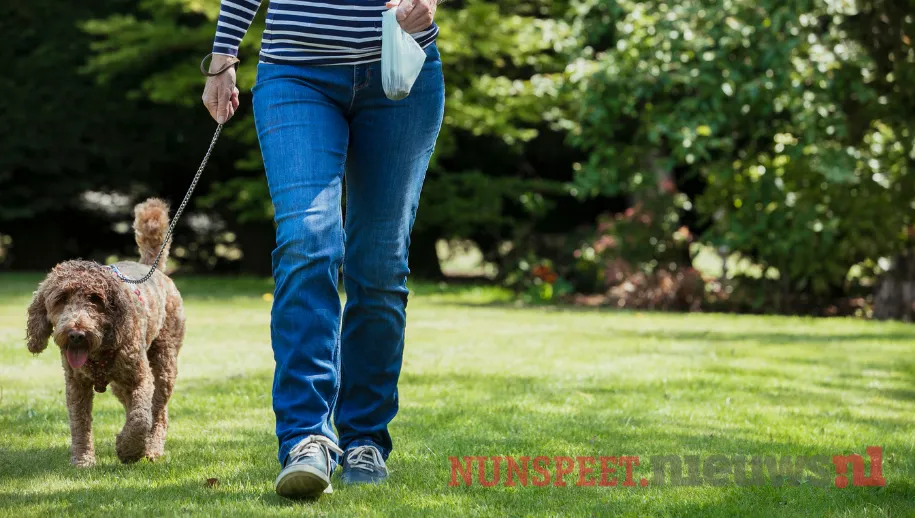 ontwerp zonder titel 31