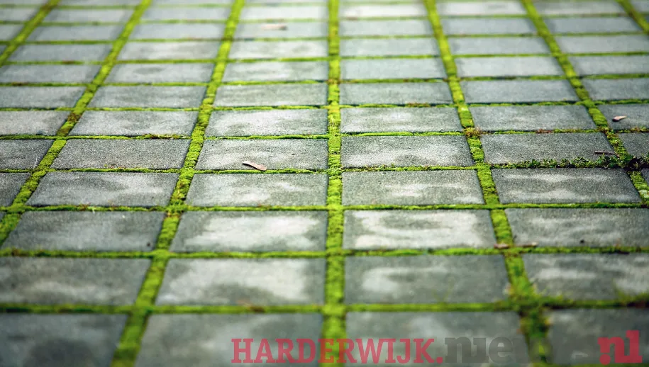 ontwerp zonder titel 31