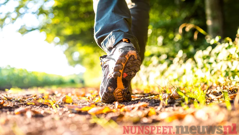 ontwerp zonder titel 32