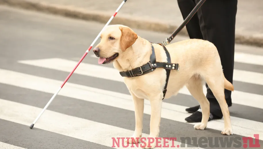 ontwerp zonder titel 38