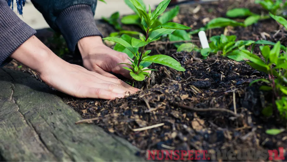 ontwerp zonder titel 39 1